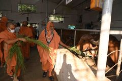 Shree Gopinathji Gaoshala