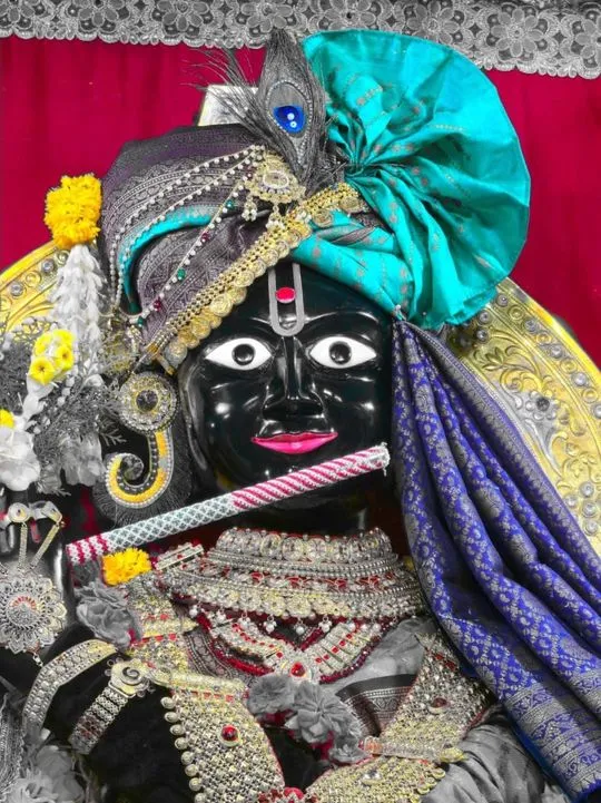 gadhada 2026-05-20