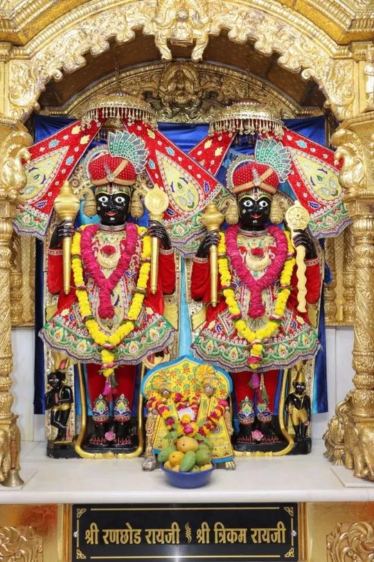 junagadh 2026-05-20