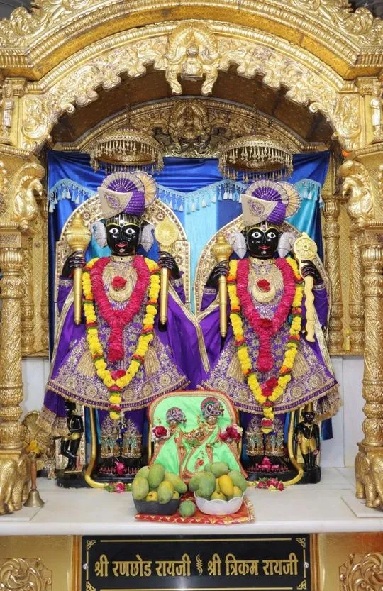 junagadh 2026-05-22