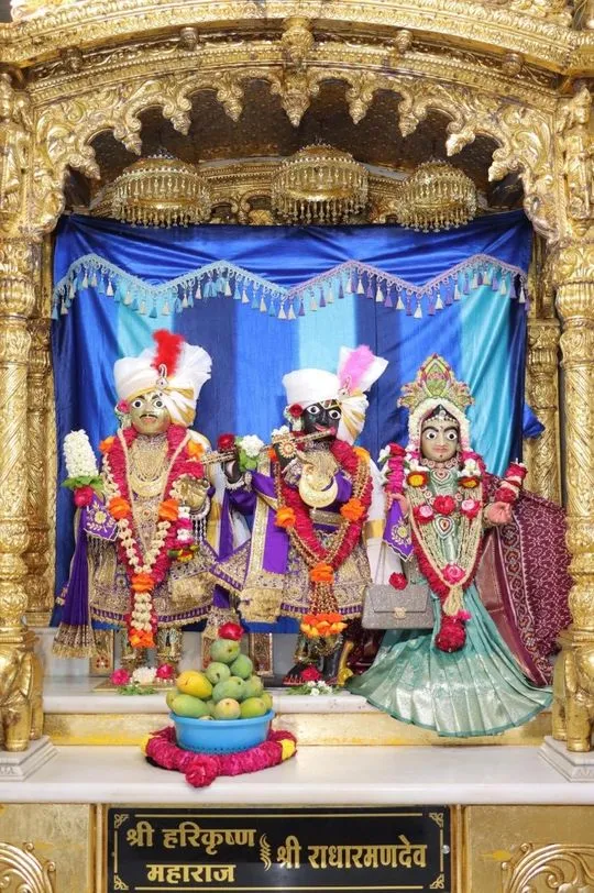 junagadh 2026-05-22