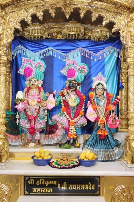 junagadh 2026-05-23