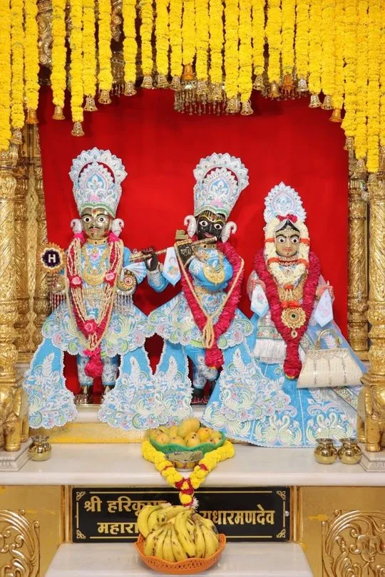 junagadh 2026-06-07