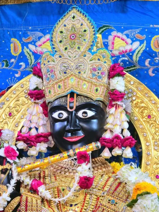 gadhada 2026-06-07