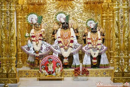 bhuj 2026-06-08