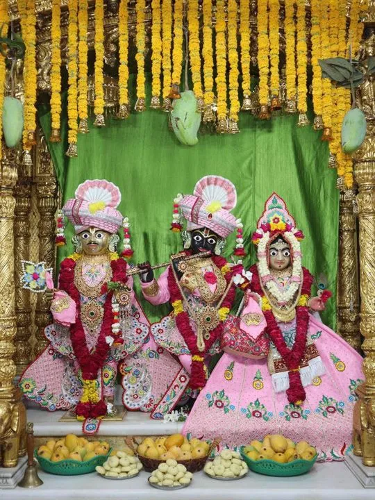 junagadh 2026-06-08