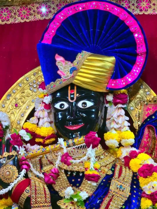 gadhada 2026-06-08