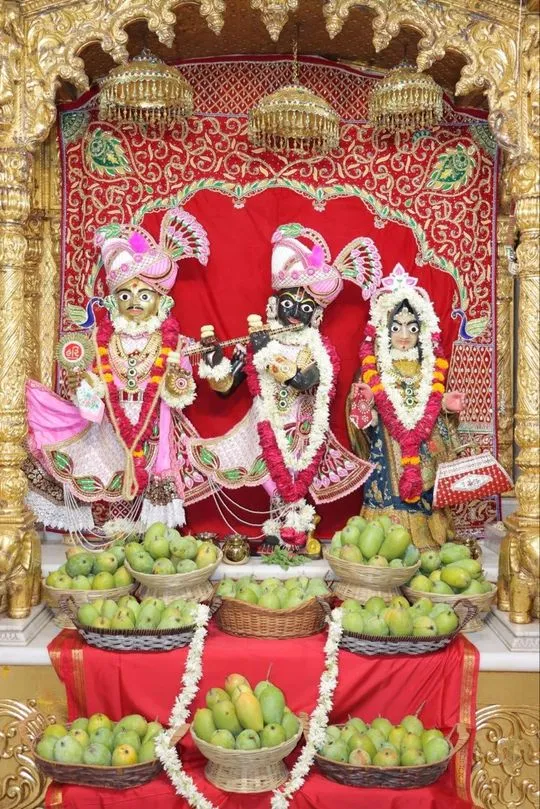 junagadh 2026-06-14
