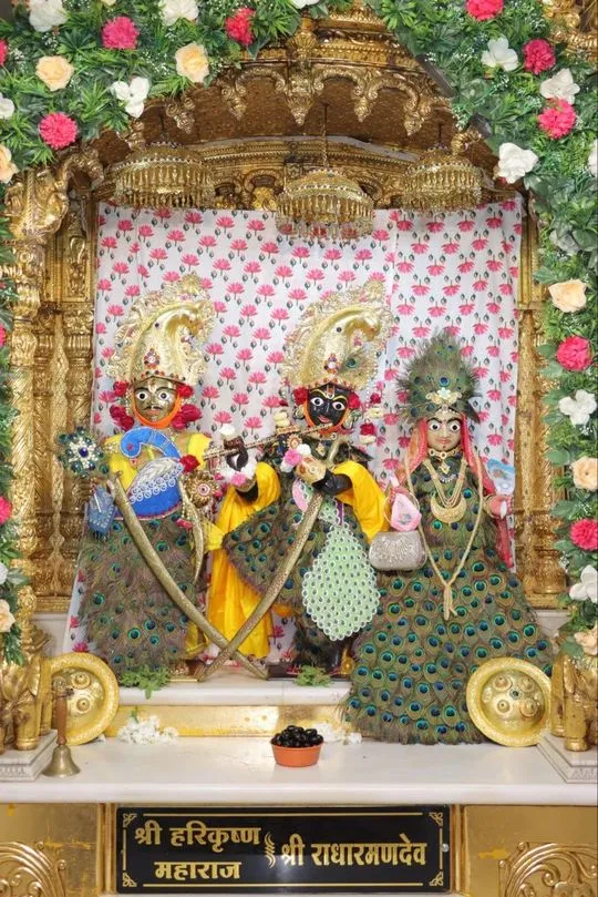 junagadh 2026-06-15