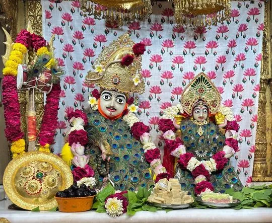 junagadh 2026-06-15