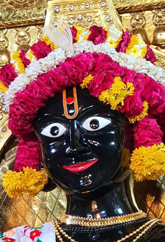 gadhada 2026-06-15