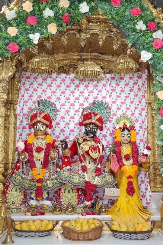 junagadh 2026-06-16