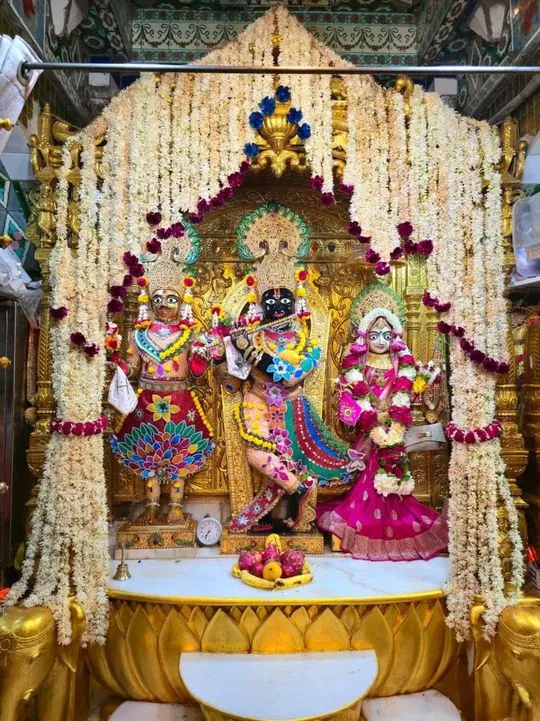 gadhada 2026-06-23