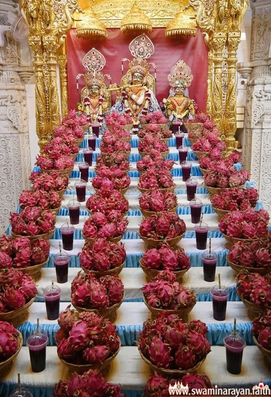 bhuj 2026-07-11