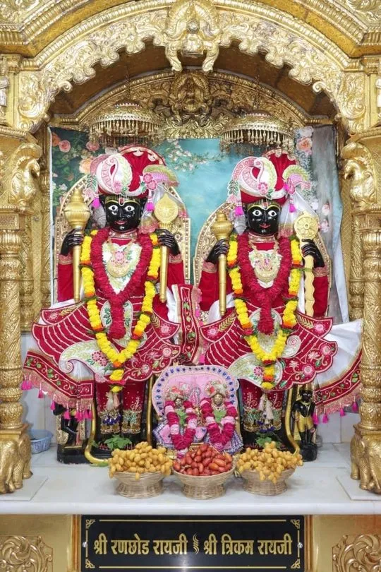junagadh 2026-07-15