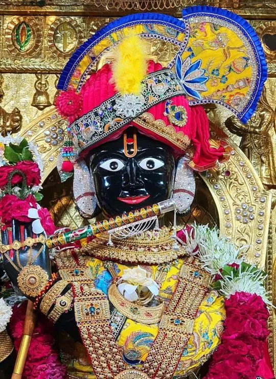 gadhada 2026-07-18