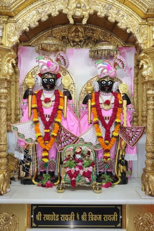 junagadh 2026-08-05