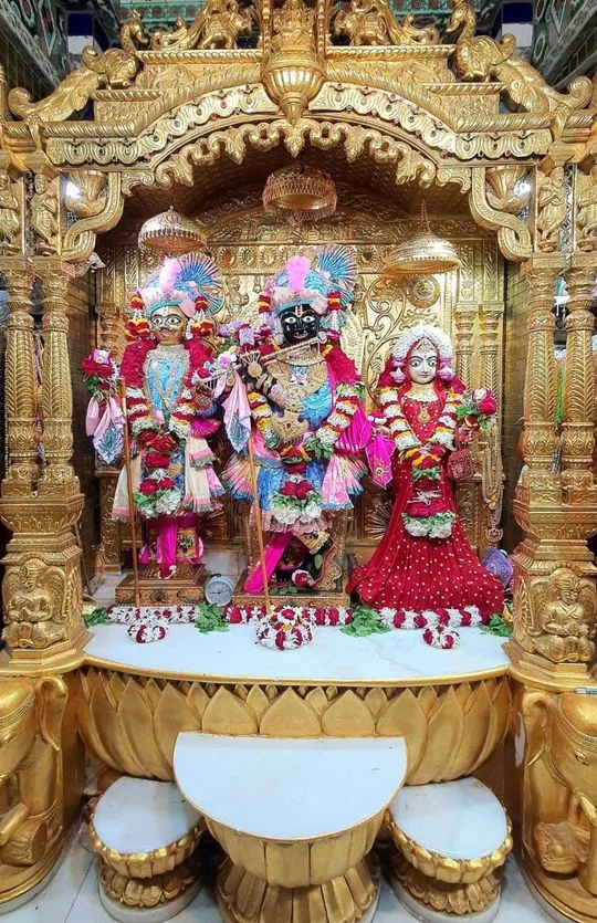 gadhada 2026-08-05