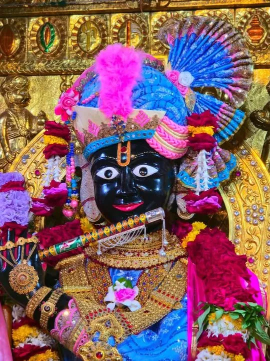 gadhada 2026-08-05
