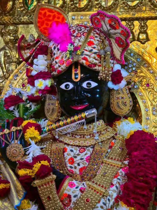 gadhada 2026-08-06
