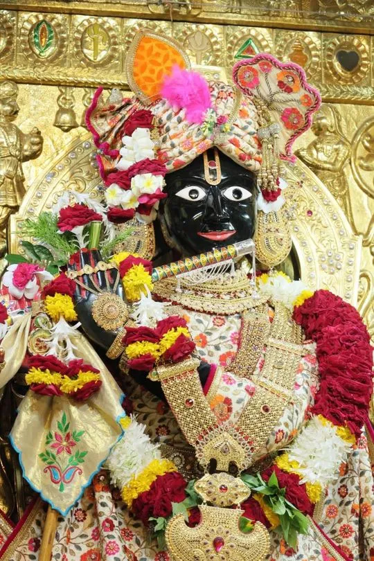 gadhada 2026-08-06