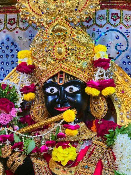 gadhada 2026-09-22