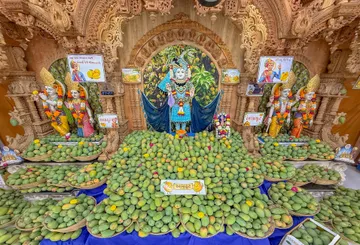 Amrakut kundaldham & karelibaug Vadodara
