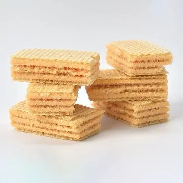 Wafer Biscuit