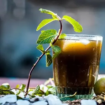 Gol Nu Pani