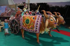 Rangotsav - Rangotsav 2024