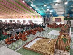 Abhishek - Rangotsav 2024