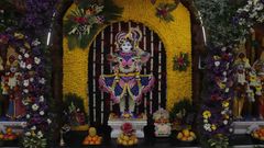 Ghanshyam Maharaj Special Photos
