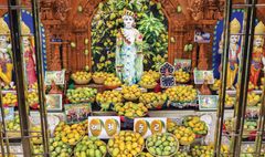 Amrutkut kundal & karelibaug